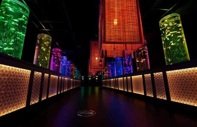 Tokyo: Art Aquarium Museum GINZA Entry Ticket - English Information and the Small Details That Make It Feel Like Art