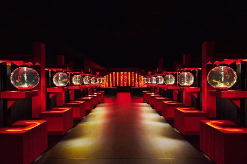 Tokyo: Art Aquarium Museum GINZA Entry Ticket - Quick Practical Tips Before You Go