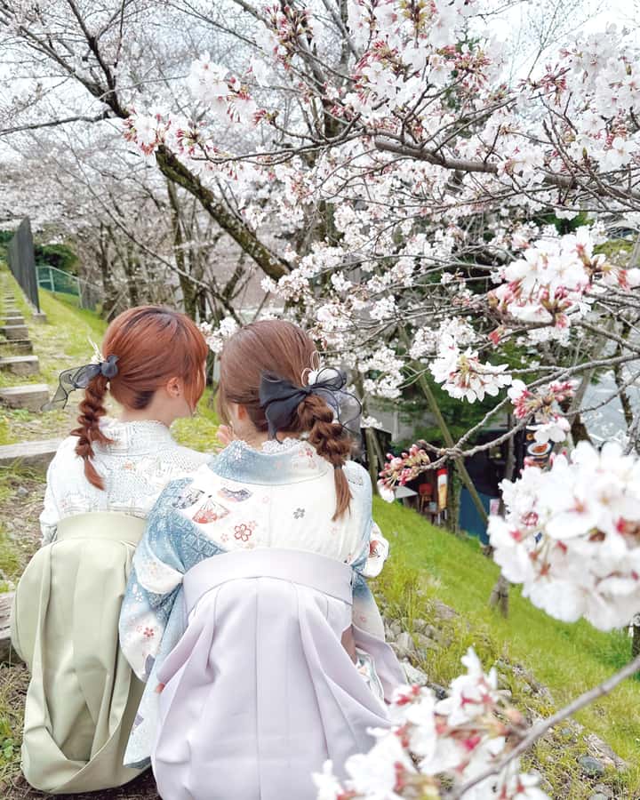 Tokyo Asakusa: Traditional Kimono Rental Experience at Wargo - Price and Value: Is $33 Worth It in Tokyo?