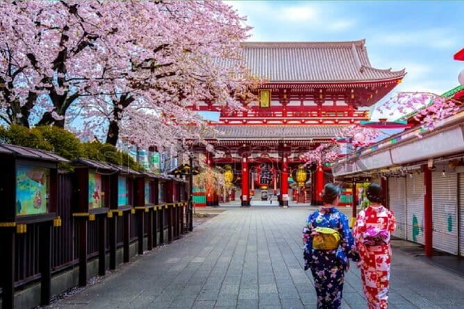 Tokyo City Tour by Private Car & English guide - Key things to know