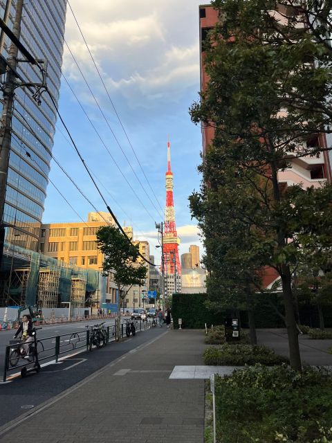 tokyo city walk tour visit Tokyo in one day - Akihabara: anime culture for fans and curious first-timers