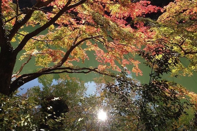 Tokyo Countryside Exploration Private Tour - Key Things to Know Before You Go