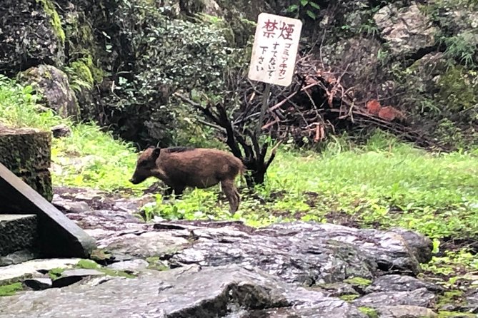 Tokyo Countryside Exploration Private Tour - Small Group, Maximum 5, Private-Only for Your Group