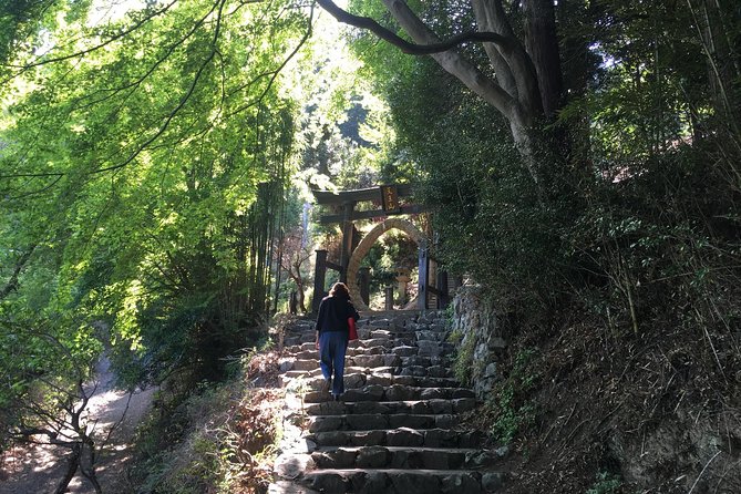 Tokyo Countryside Exploration Private Tour - Stop 3: Ne-no-gongen Shrine and the Healthy-Legs Viewpoint
