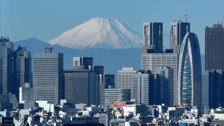 Tokyo: Customizable Private Guided Walking Tour - Key points before you go
