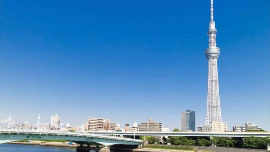 Tokyo: Customizable Private Guided Walking Tour - Subway tips that make Tokyo feel less scary