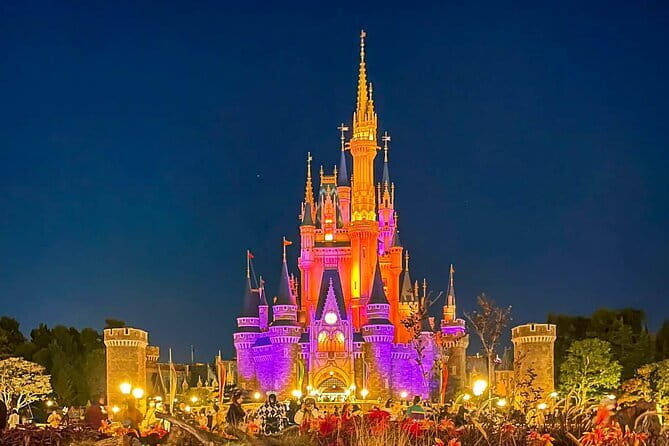 Tokyo Disney Resort Park E-Tickets with Options - Queues, priority passes, and the real cost of a perfect day