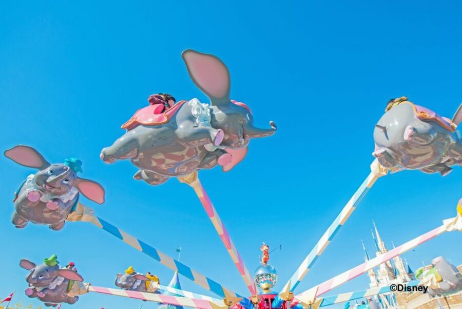 Tokyo Disneyland 1-Day Passport - Tokyo Disneyland 1-Day Passport: What This Ticket Is Really For