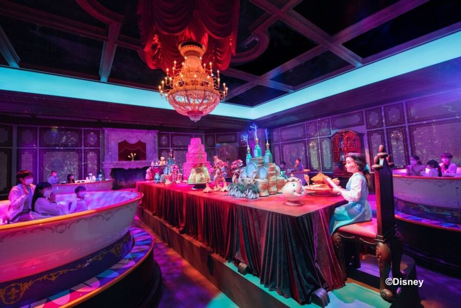 Tokyo Disneyland 1-Day Passport - Skip the Line, But Not All Lines