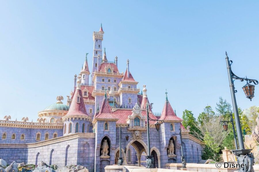 Tokyo Disneyland 1-Day Passport - Language, Tickets, and the Little Reality Checks That Help