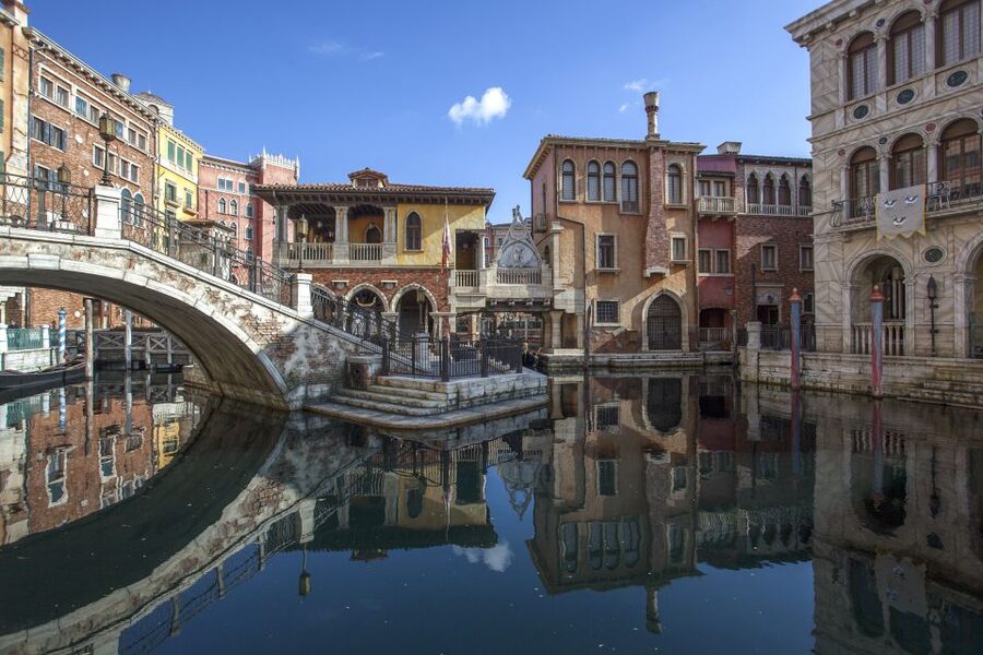 Tokyo Disneyland or DisneySea Ticket & Door to Door Transfer - Tickets in your hotel, not in your backpack panic