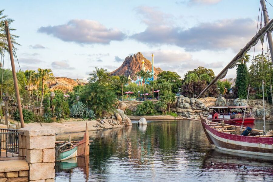 Tokyo Disneyland or DisneySea Ticket & Door to Door Transfer - Door-to-door shared shuttle in Tokyo City