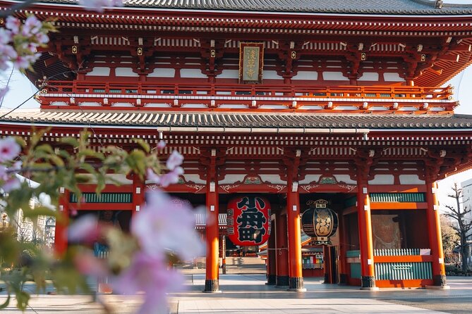 Tokyo Early Morning Tour Asakusa Meiji Shrine (Private Opt) - Key highlights worth waking up for