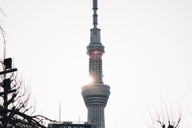 Tokyo Early Morning Tour Asakusa Meiji Shrine (Private Opt) - Meiji Jingu Shrine: a forest pause in the middle of the city