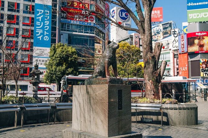 Tokyo Early Morning Tour Asakusa Meiji Shrine (Private Opt) - Shibuya Crossing at day’s start: iconic, but less stressful here