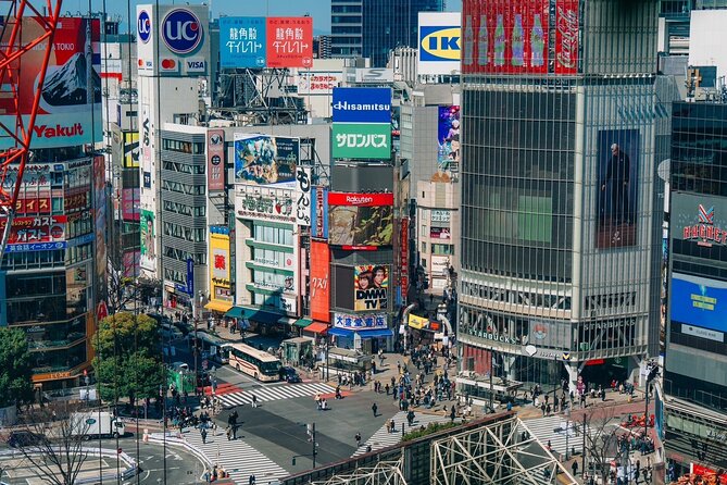 Tokyo Early Morning Tour Asakusa Meiji Shrine (Private Opt) - Price and value: what $59.46 buys you and what to budget