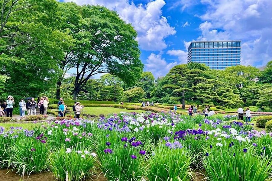 Tokyo: Edo Castle & East Garden of the Imperial Palace Tour - Price and value for a 2-hour, guided history walk