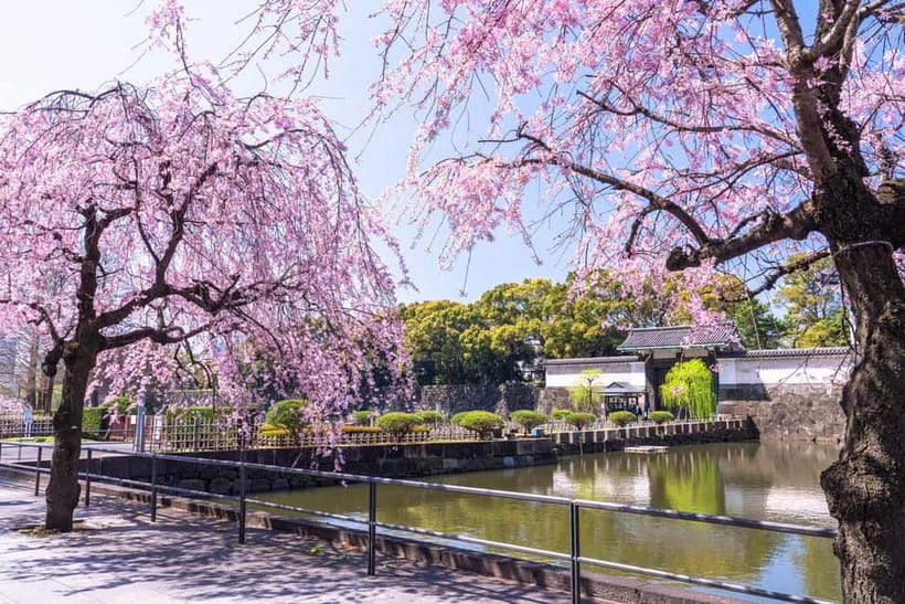 Tokyo: Edo Castle & East Garden of the Imperial Palace Tour - Edo-era details you might get shown, beyond the obvious views