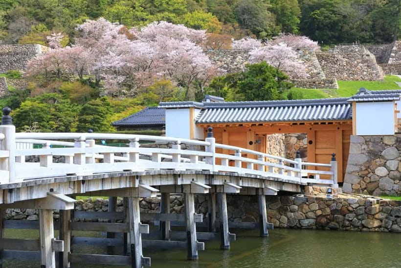 Tokyo: Edo Castle & East Garden of the Imperial Palace Tour - Timing matters: garden closures on Mondays and Fridays