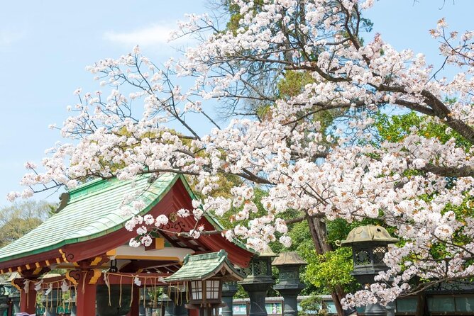 Tokyo: Food Tour in Ueno with 10+ Tastings of Japanese Classics - Ueno Food Tour: Why This Short Tokyo Walk Works