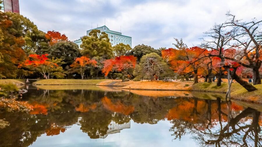 Tokyo: Full-Day Japanese Garden Private Guided Tour - Key things to know before you go
