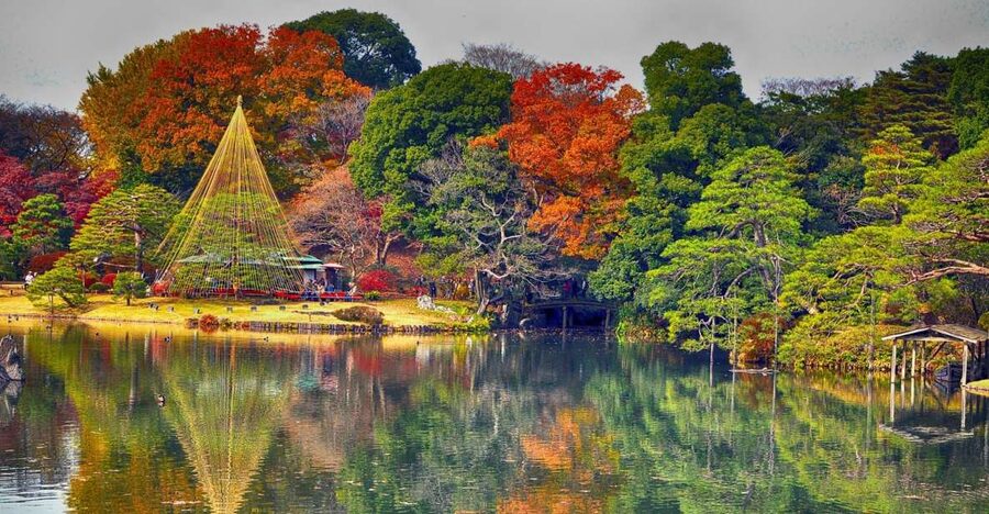 Tokyo: Full-Day Japanese Garden Private Guided Tour - Imperial Palace Gardens: A Stately Start to Set the Tone
