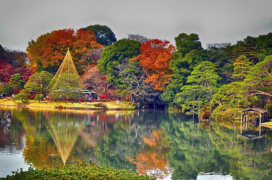 Tokyo: Full-Day Japanese Garden Private Guided Tour - The 6-Hour Flow: Imperial Palace Calm, Harajuku Fuel, Shinjuku Gyoen Variety
