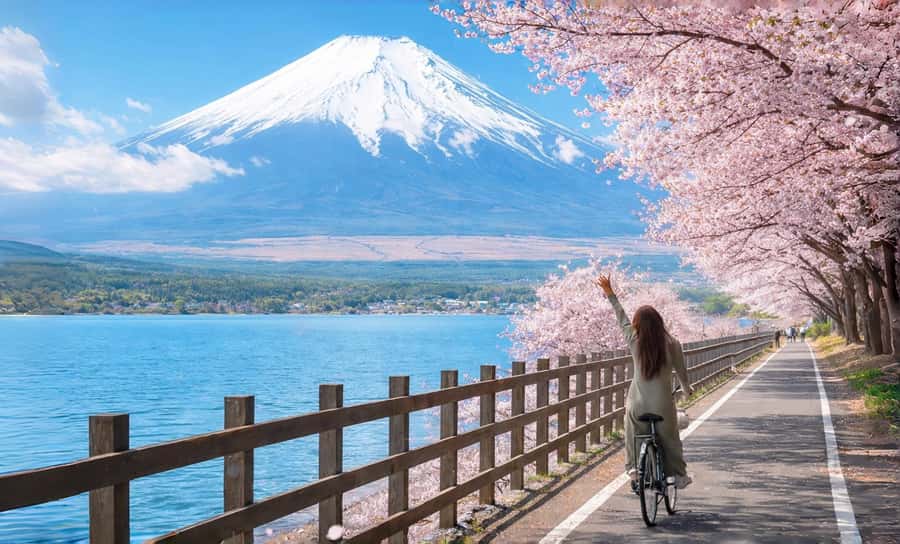 Tokyo: Full-Day Tour of the Six Majestic Spots of Mt Fuji - Why this Mt Fuji day trip from Tokyo feels like a visual movie