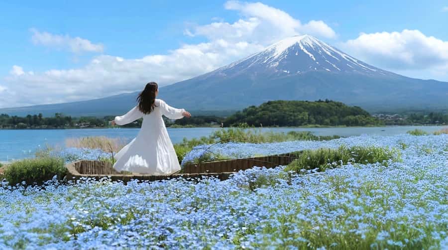 Tokyo: Full-Day Tour of the Six Majestic Spots of Mt Fuji - Oshino Hakkai springs, UNESCO pools and that turquoise look