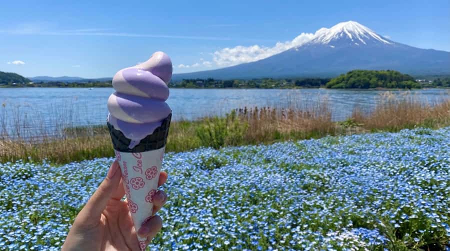 Tokyo: Full-Day Tour of the Six Majestic Spots of Mt Fuji - Oishi Park seasonal flowers at Lake Kawaguchi
