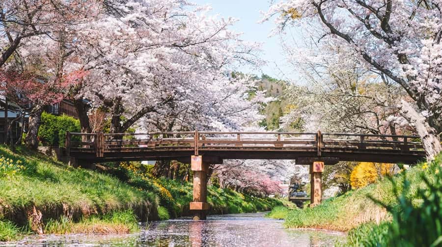 Tokyo: Full-Day Tour of the Six Majestic Spots of Mt Fuji - How the full-day schedule actually feels from door to door