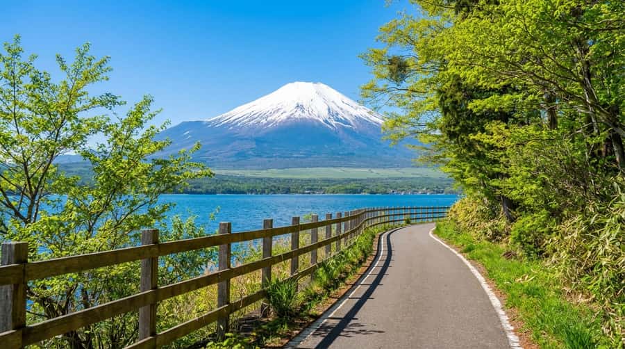 Tokyo: Full-Day Tour of the Six Majestic Spots of Mt Fuji - Hirano Beach reflections with swans, the morning window that matters