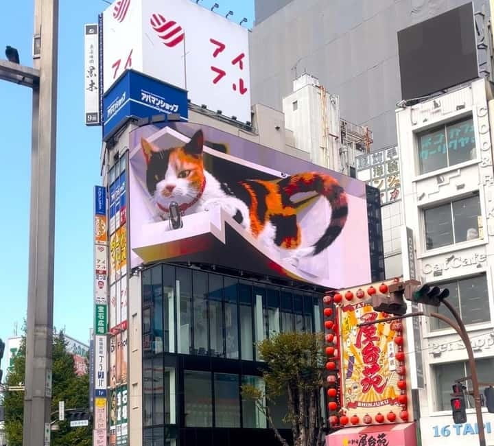 Tokyo: Gotokuji Cat Temple, Shinjuku Cat Cafe & 3D Cat Tour - Gotokuji Cat Temple: the lucky cat story you can actually see