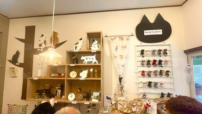 Tokyo: Gotokuji Cat Temple, Shinjuku Cat Cafe & 3D Cat Tour - Who this tour fits best, and who should skip it