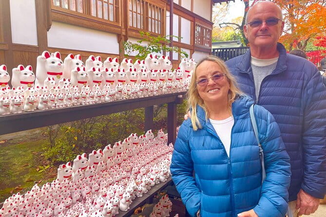 Tokyo: Gotokuji Lucky Cat Temple, Shinjuku Cat Cafe, 3D Giant Cat - What the guide adds, the human part of a cat tour