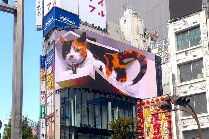Tokyo: Gotokuji Lucky Cat Temple, Shinjuku Cat Cafe, 3D Giant Cat - MOCHA Lounge Shinjuku cat café, 30 cats, clean vibes, and a built-in timeout