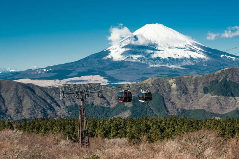 Tokyo: Hakone Fuji Day Tour w/ Cruise, Cable Car, Volcano - Should You Book This Hakone Fuji Day Tour?