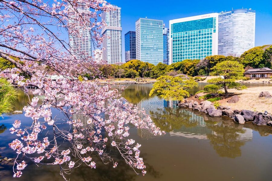 Tokyo: Hama-rikyu Gardens tour with Japanese Tea & Sweets - Key things that make this tour worth your time