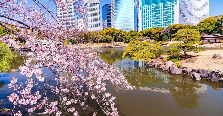 Tokyo: Hama-rikyu Gardens tour with Japanese Tea & Sweets - Tips to help you enjoy the walk and tea more