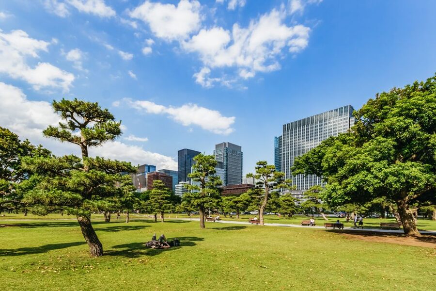 Tokyo: Hop-On Hop-Off Sightseeing Bus Ticket - Audio guide on your phone: 10 languages and what to bring