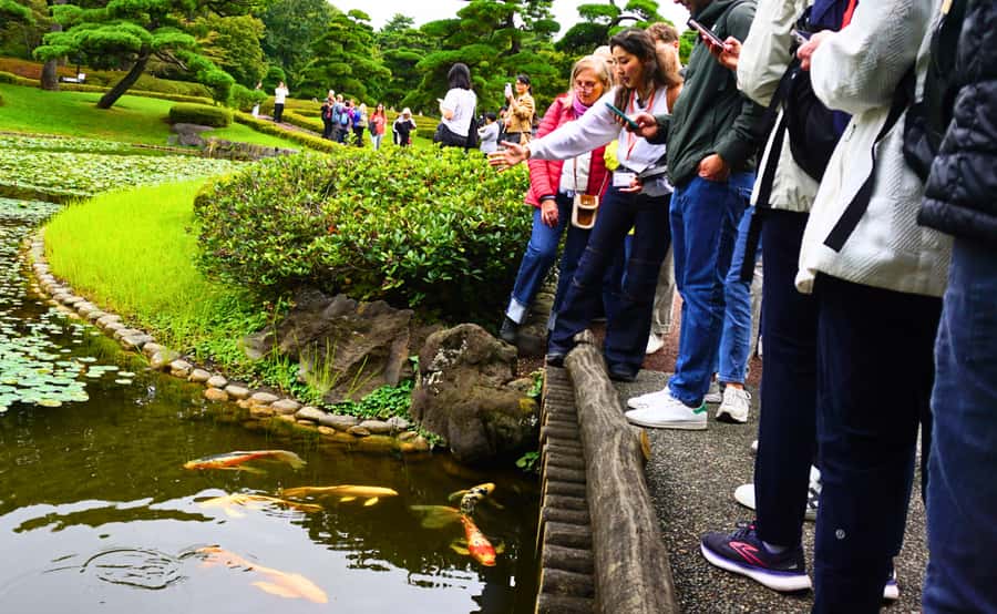 Tokyo: Imperial Palace Japanese History Walking Tour - Walking Through Otemon Gate and the Shogun Story You Can Actually Picture
