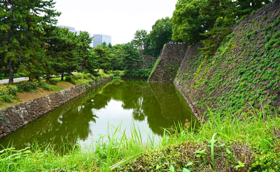 Tokyo: Imperial Palace, the history of Japan (ENGLISH GUIDE) - Former Soldiers’ Barracks, Edo Castle Roots, and Koi That Only Live Here