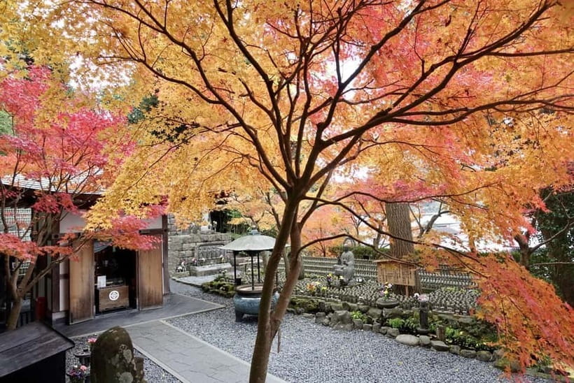 Tokyo: Kamakura & Enoshima Day Trip including Temple Tickets - Key things you should know before you go