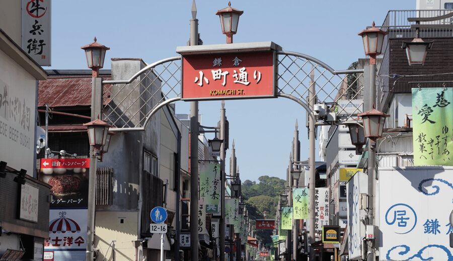 Tokyo: Kamakura & Enoshima Day Trip including Temple Tickets - Hase-dera: Flowers, Statues, and Views Over Sagami Bay