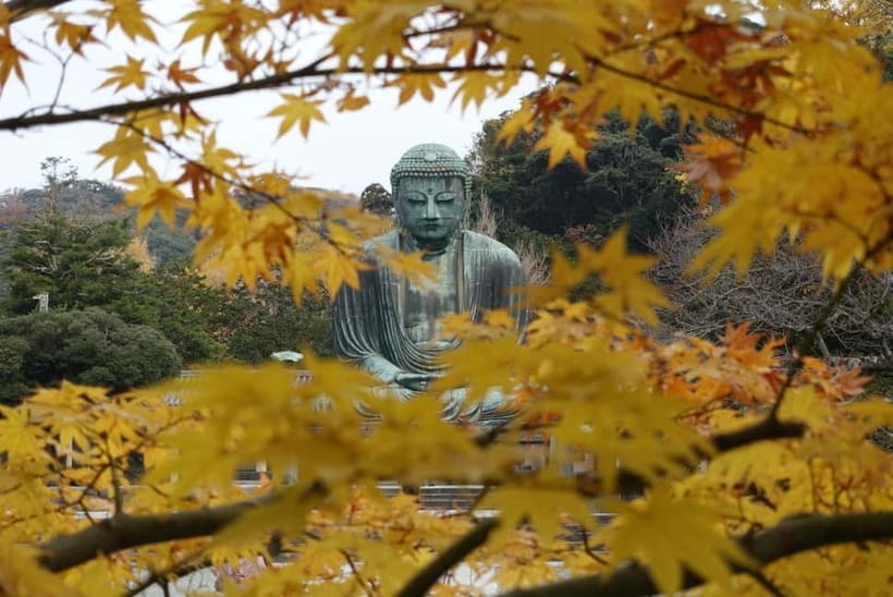 Tokyo: Kamakura & Enoshima Day Trip including Temple Tickets - Kōtoku-in Great Buddha: A Ticketed Stop Worth the Crowd