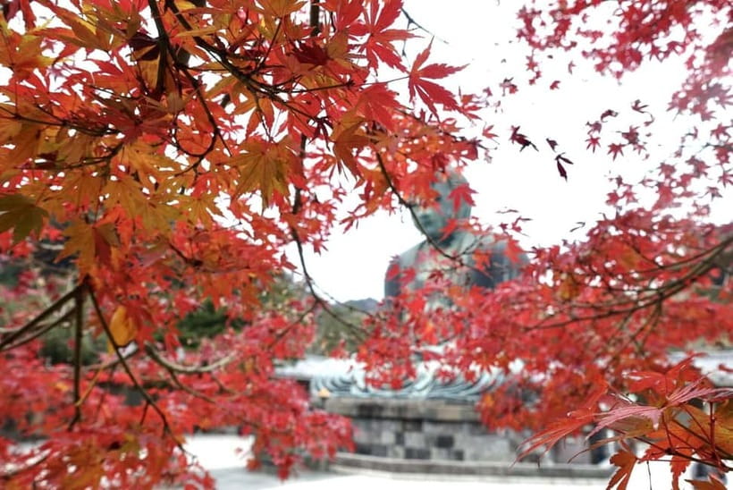 Tokyo: Kamakura & Enoshima Day Trip including Temple Tickets - Enoshima Island: The Shrine, the Sea Candle, and the Mt. Fuji Gamble