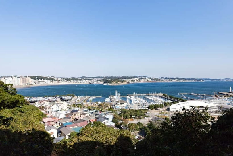 Tokyo: Kamakura & Enoshima Day Trip including Temple Tickets - Food on the Route: Shirasu, Seafood, and Simple Wins