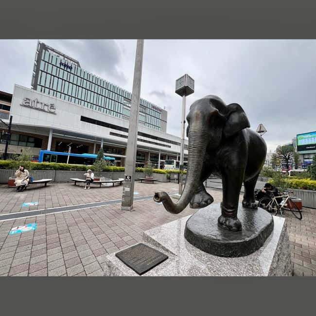 Tokyo: Kichijoji Walking Tour with Local Guide - Meeting at the Hanako Elephant Statue and lining up your day