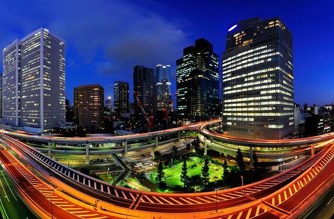 Tokyo Like a Local: Private & Personalised Experience (2-3 hours) - Key points before you go