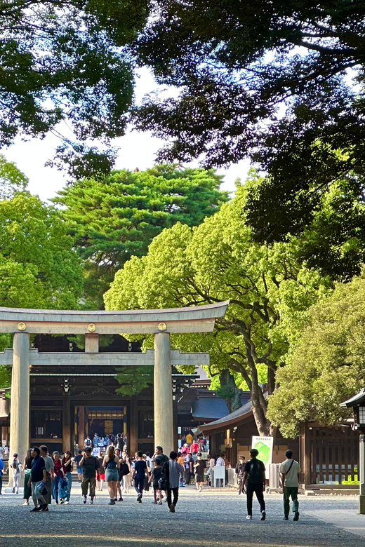 Tokyo: Meiji Jingu Shrine and Shinto Culture Walking Tour - Who should book this Meiji Jingu tour, and who might skip it
